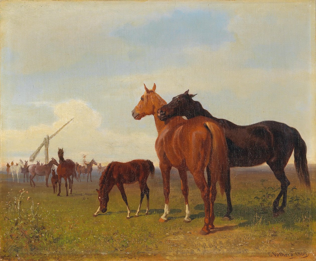 Puszta