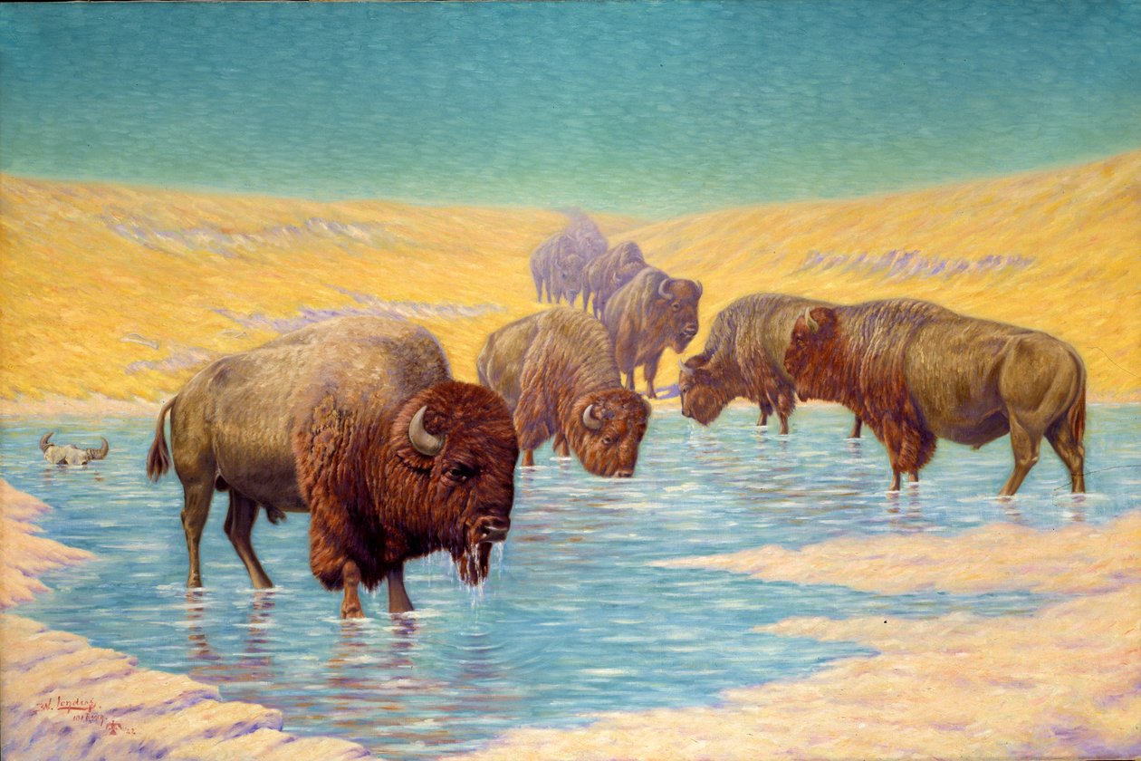 Bufalo Sahnesi, 1922. by Emil W. Lenders