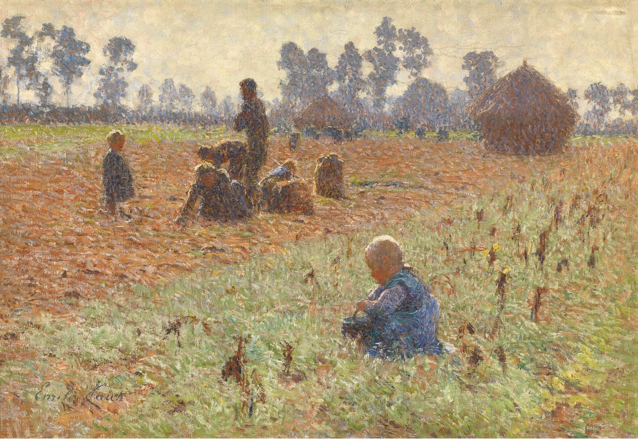 Mısır Toplama by Emile Claus
