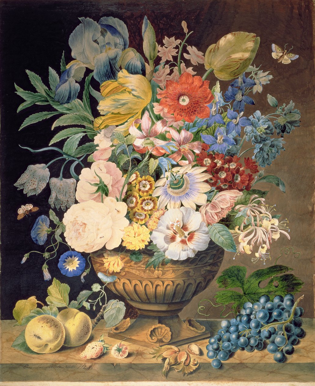 Çiçek ve Meyve, 1828 (kağıt üzerinde wc) by Emma Sillett