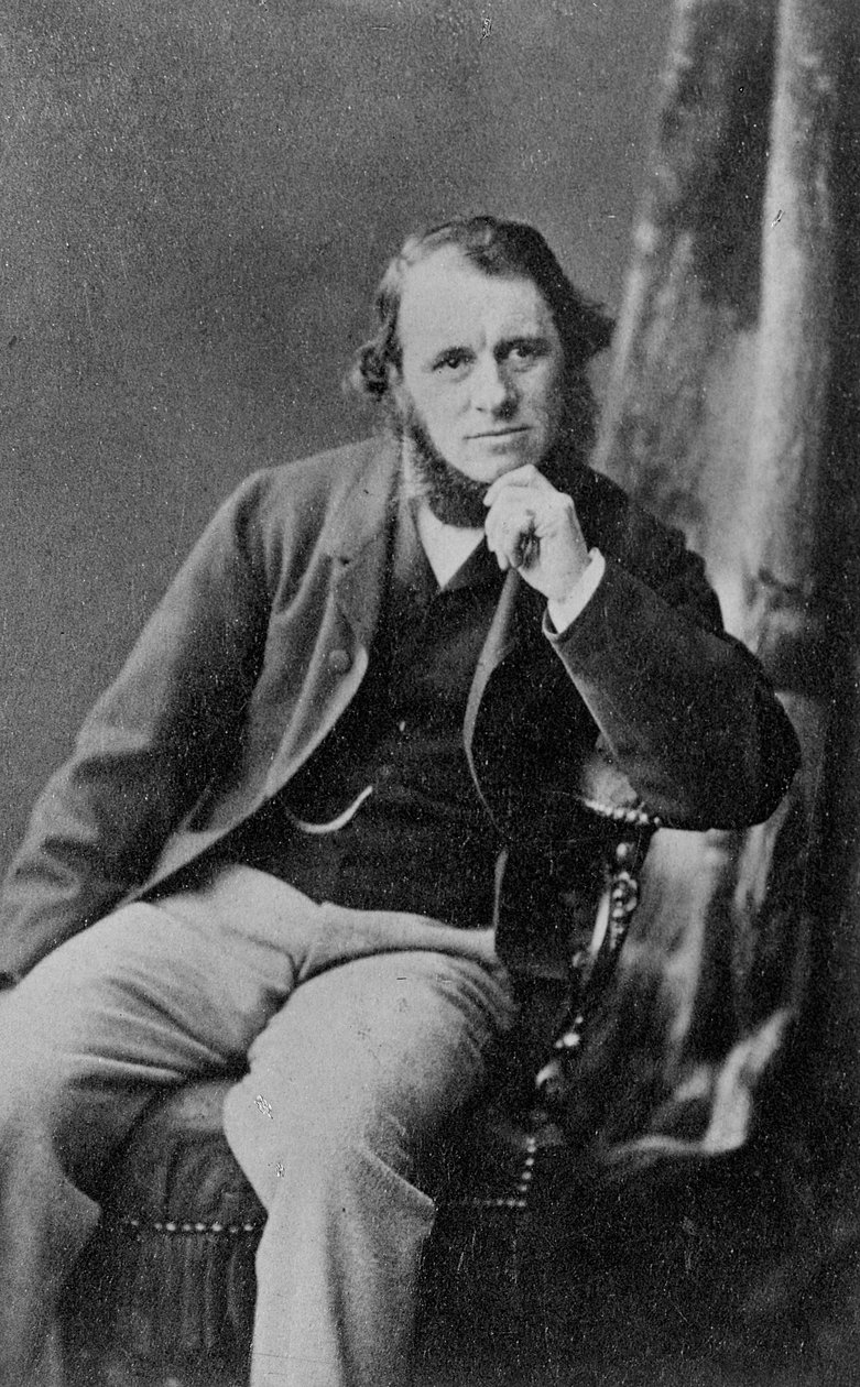 Sör George Korusu by English Photographer