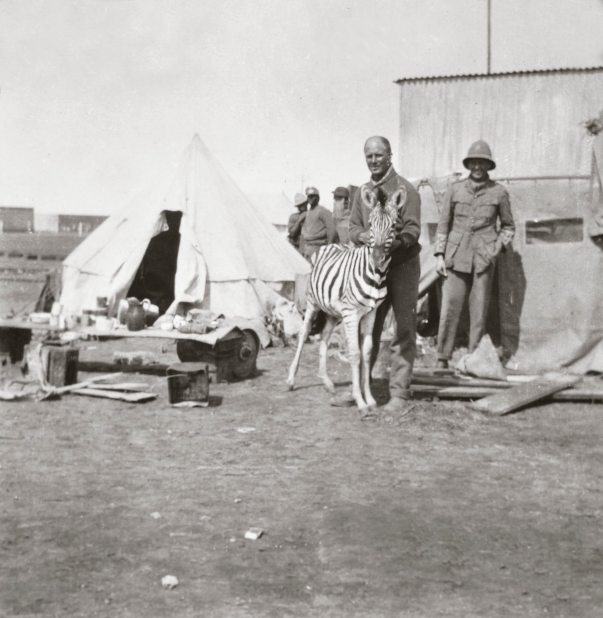 Doğu Afrika