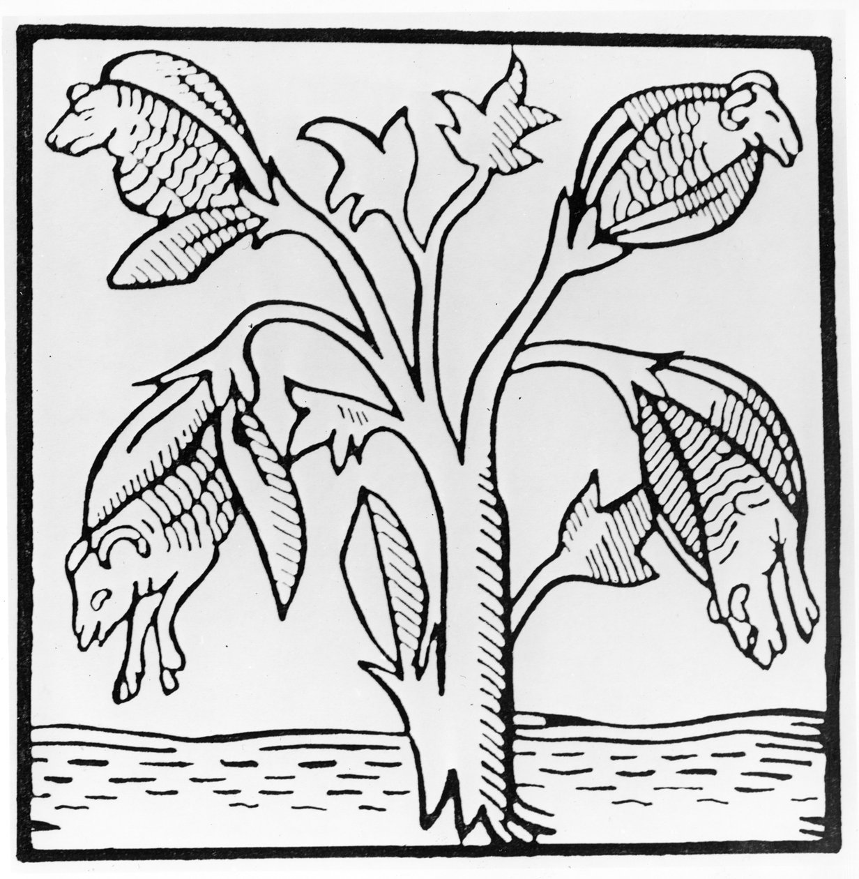 John Mandeville