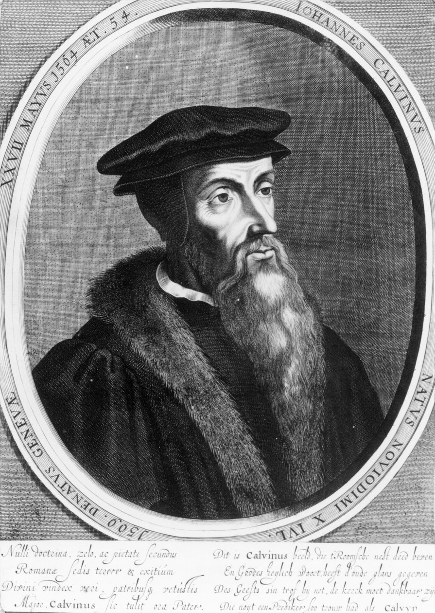 John Calvin (1509-64) by English School