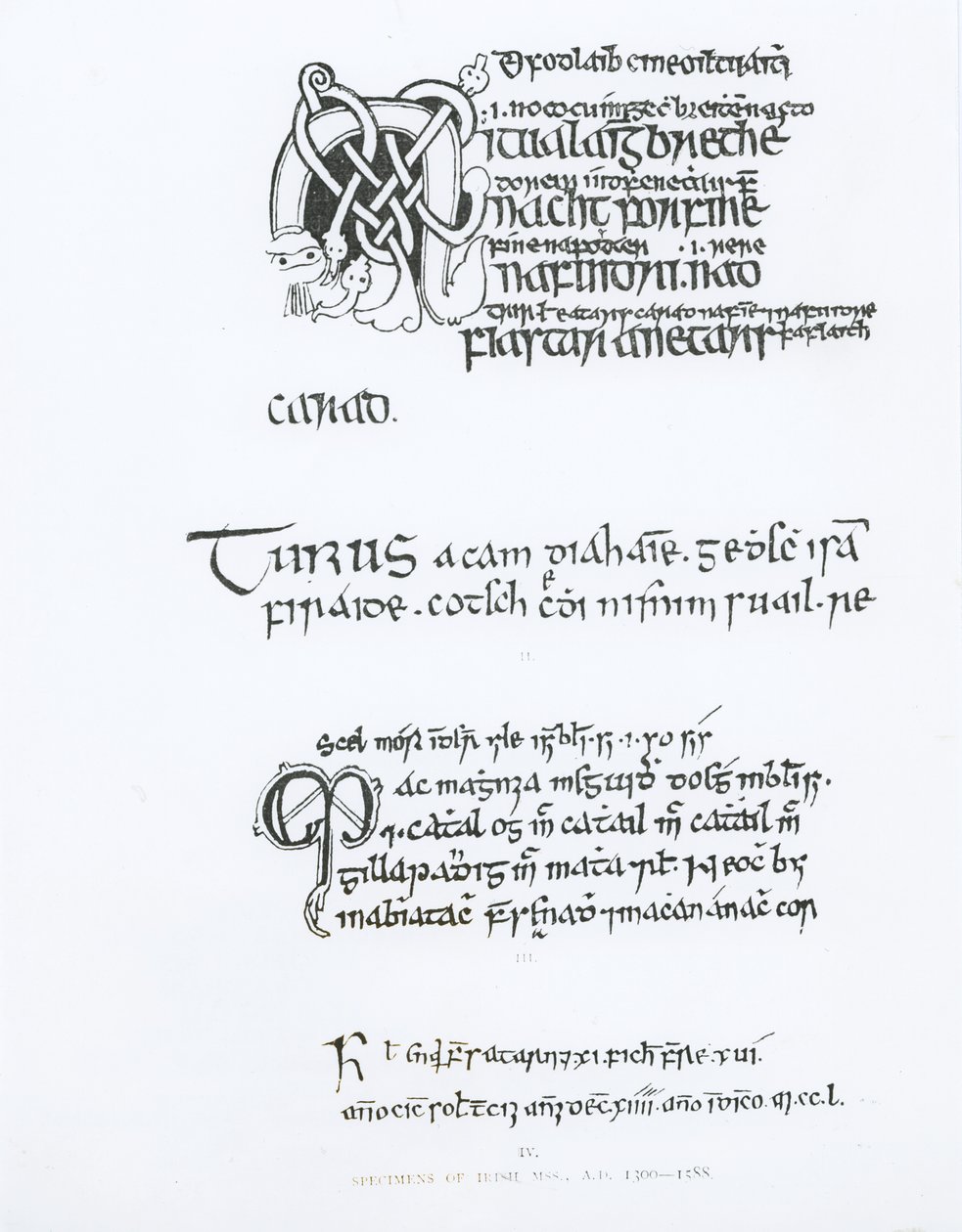 İrlanda El Yazmalarından Örnekler, c.1300-1588 by English School