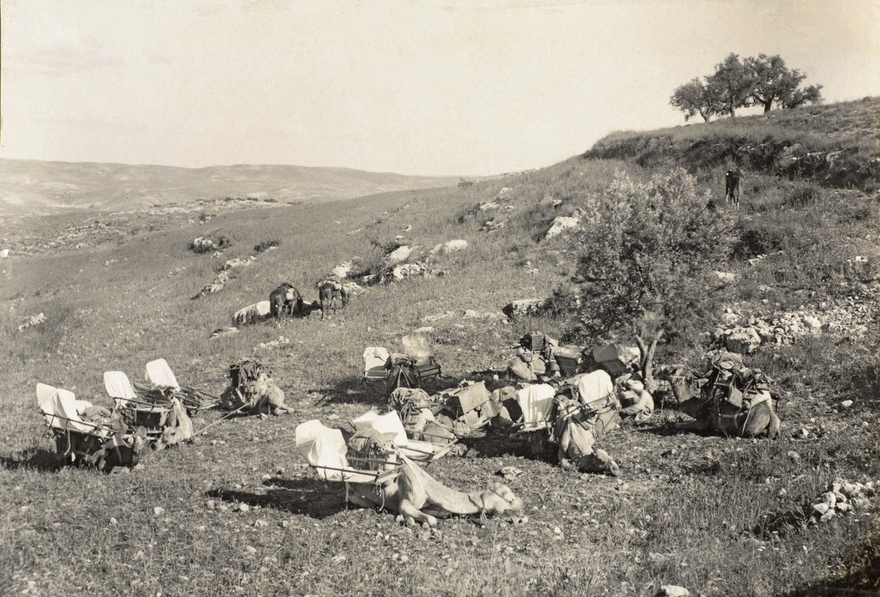 Ambulans develeri, c.1916-19 (s/b fotoğraf) by English Photographer