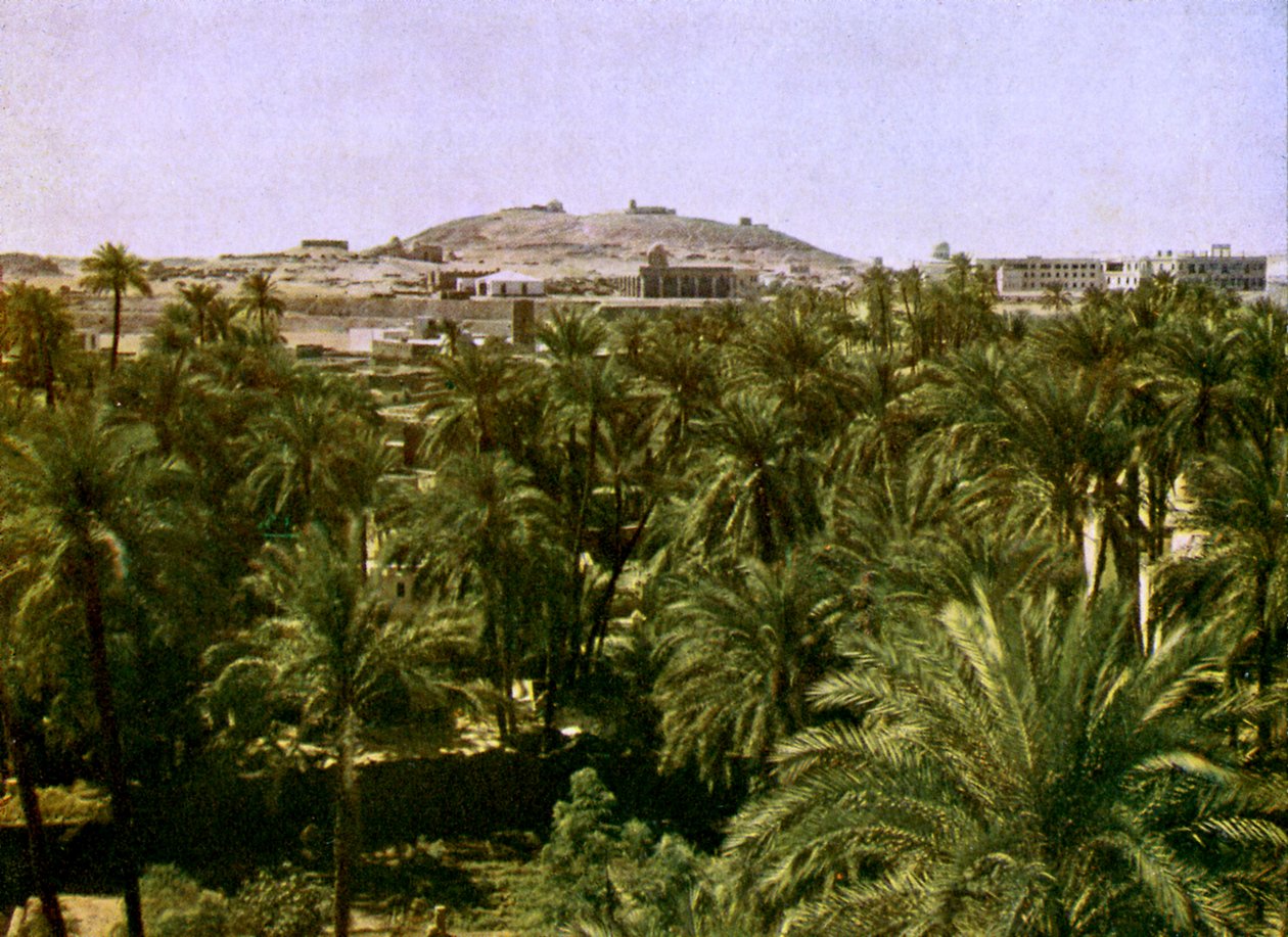 Mısır - Assuan by English Photographer