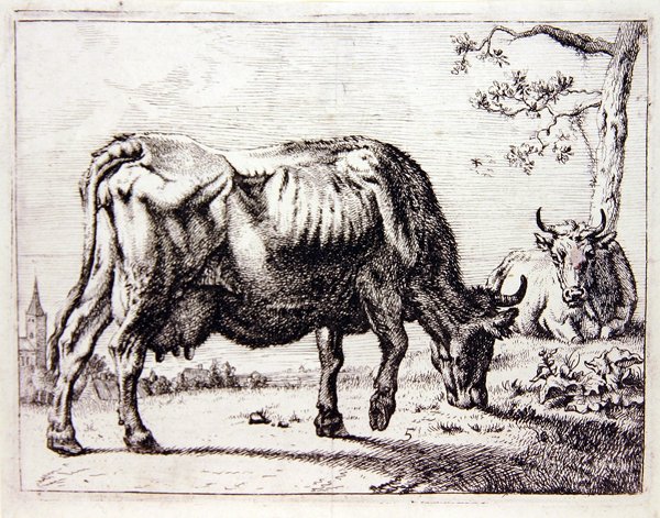 Meradaki İnekler (gravür) by English School