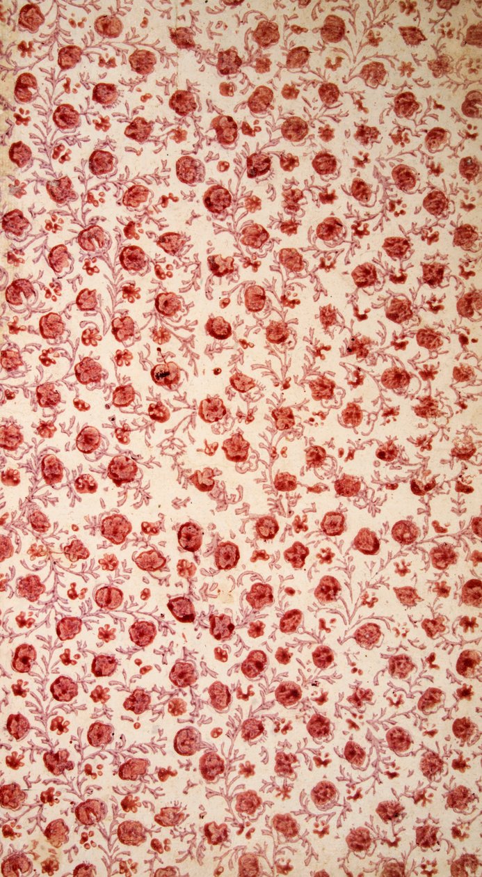 Çiçek Endpaper el renkli gravür. by English School