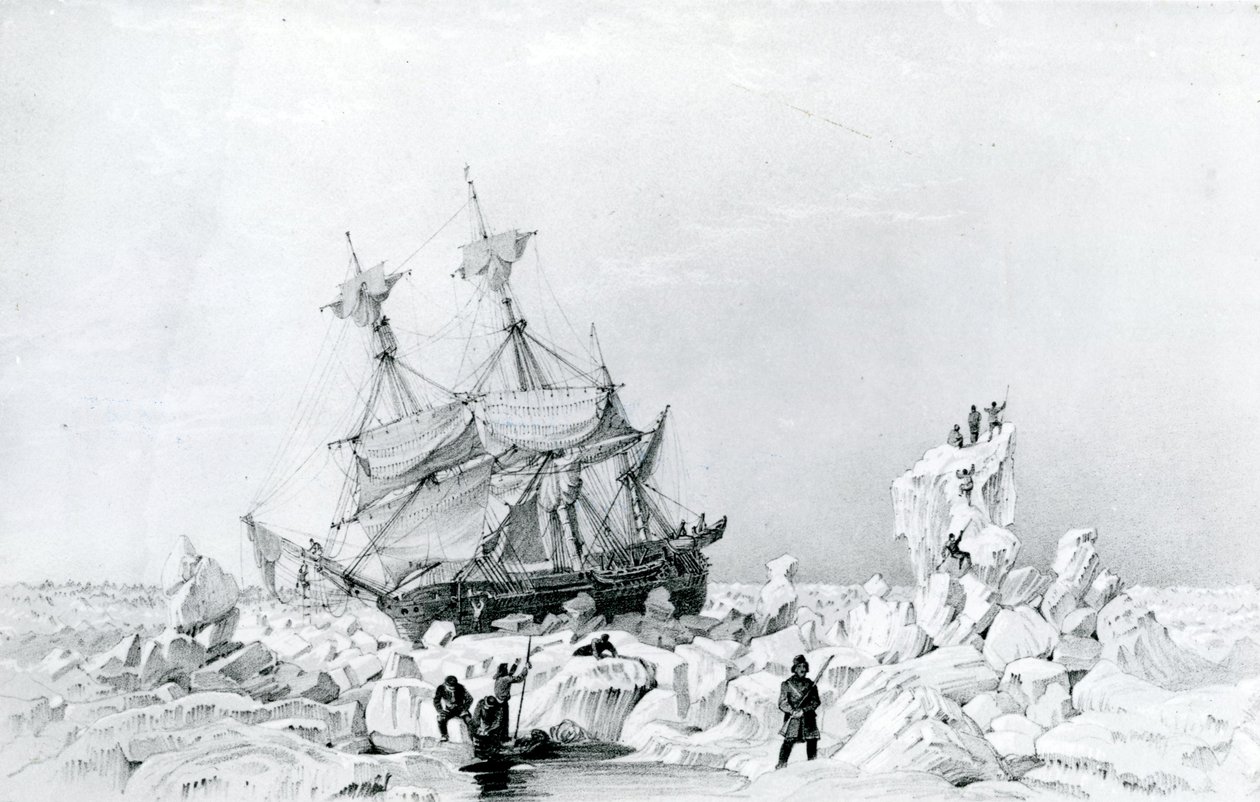 HMS Terörü buzda tutuldu by English School