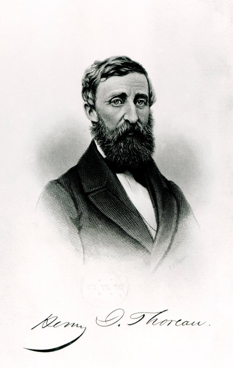 Henry David Thoreau (1817-62) by English School