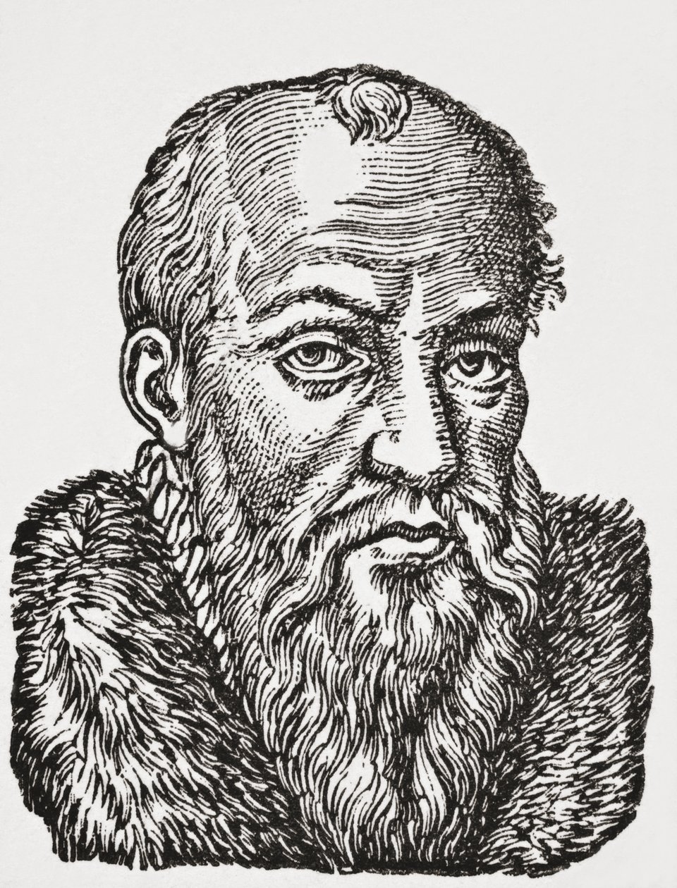 Jacques de Cujas, 1878 (lito) by English School