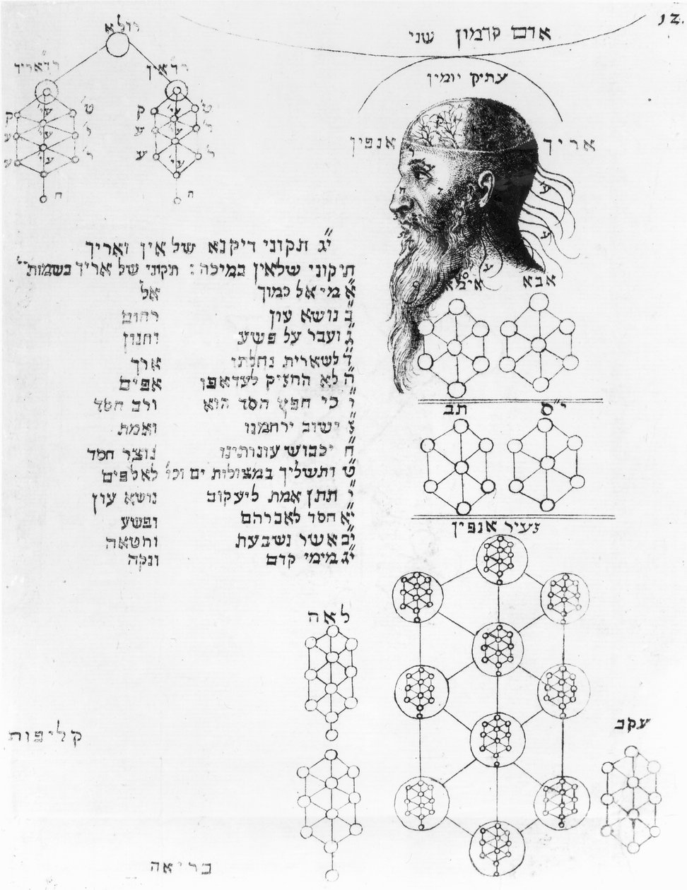 Frenoloji gösteren Yahudi el yazması by English School