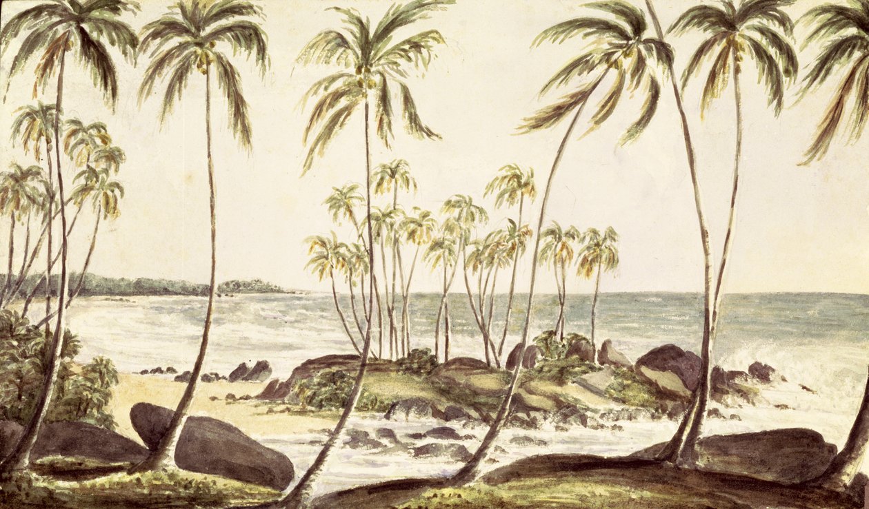 Kosgoda Plajı, Seylan, c.1835 (kağıt üzerinde wc) by English School
