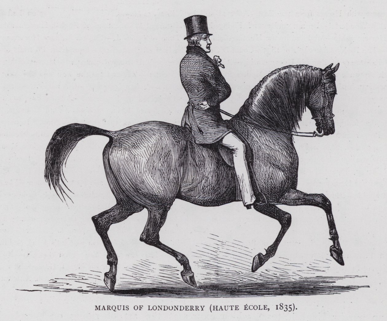 Londonderry Marquis (gravür) by English School