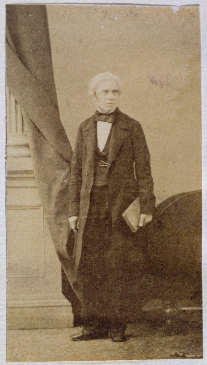 Michael Faraday (1791-1867) (albüm baskısı) by English School