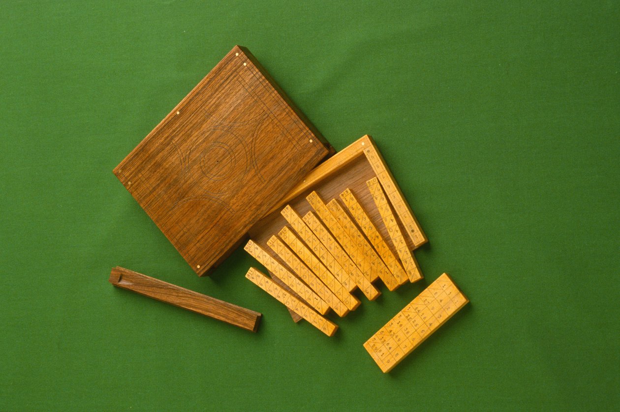 Napiers Kemiklerinin Modern Kopyaları (şimşir ve ceviz) by English School