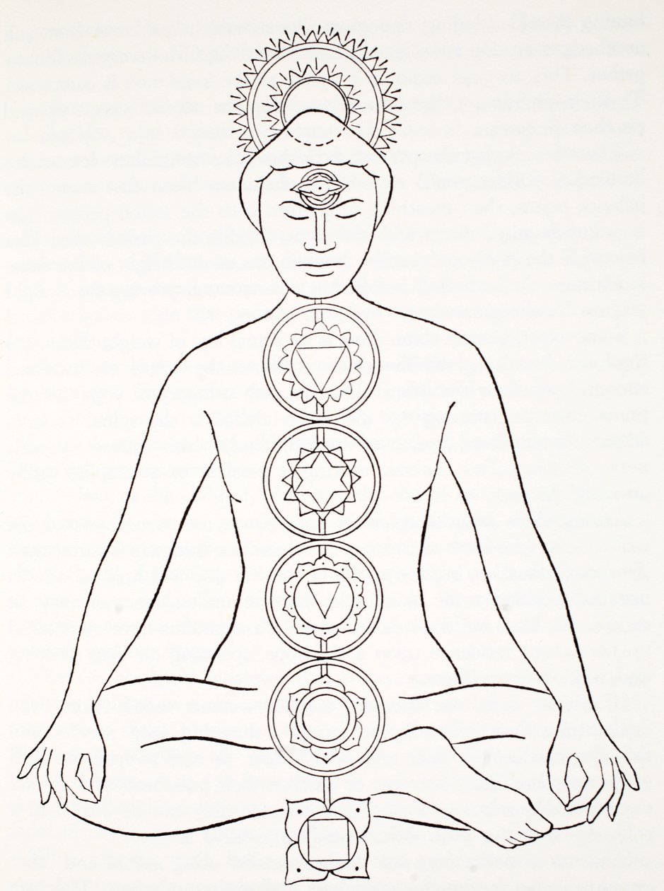 Padmasana veya lotus pozisyonu by English School