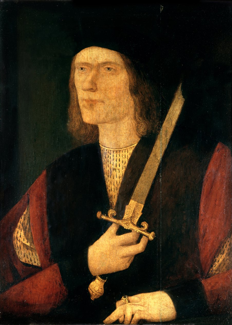 Richard III (1452-85) (panelde yağ) by English School