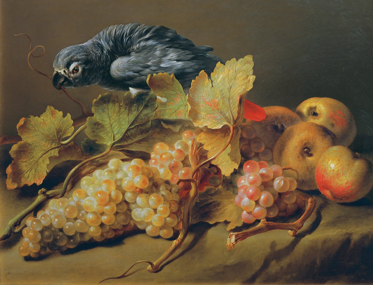 Papağan ve Üzüm ile Natürmort by Erasmus von Engert