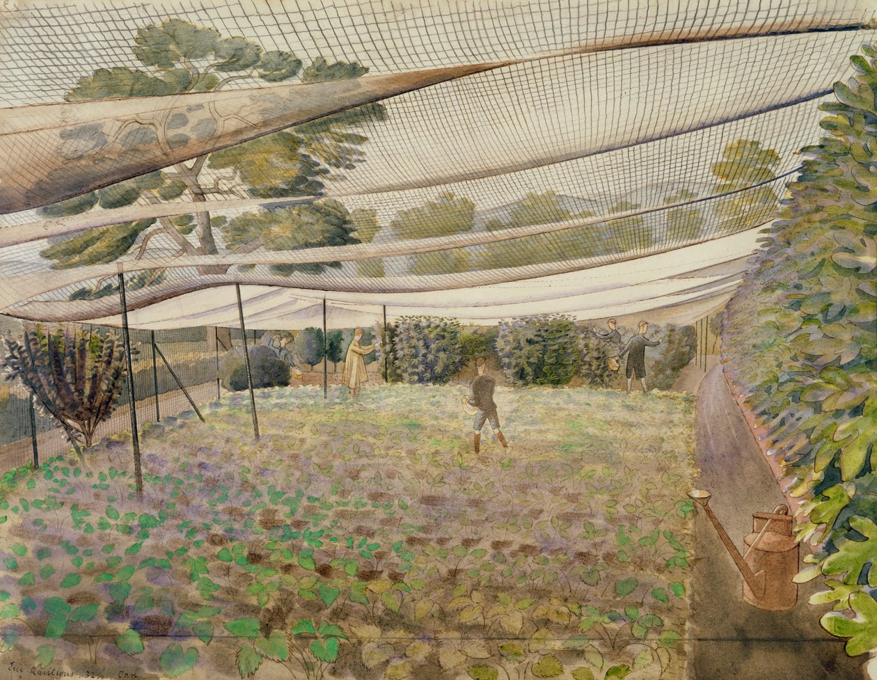 çilek ağları by Eric Ravilious