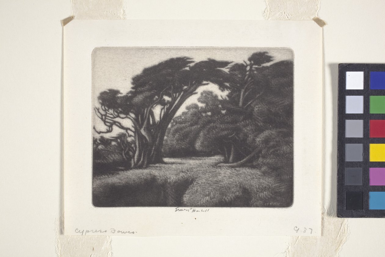 Selvi Bower (mezzotint) by Ernest Haskell