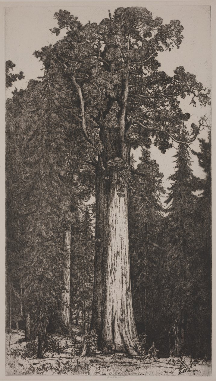 Genel Sherman by Ernest Haskell