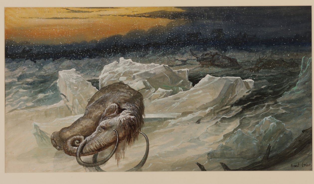Tüylü mamut by Ernest Henry Griset