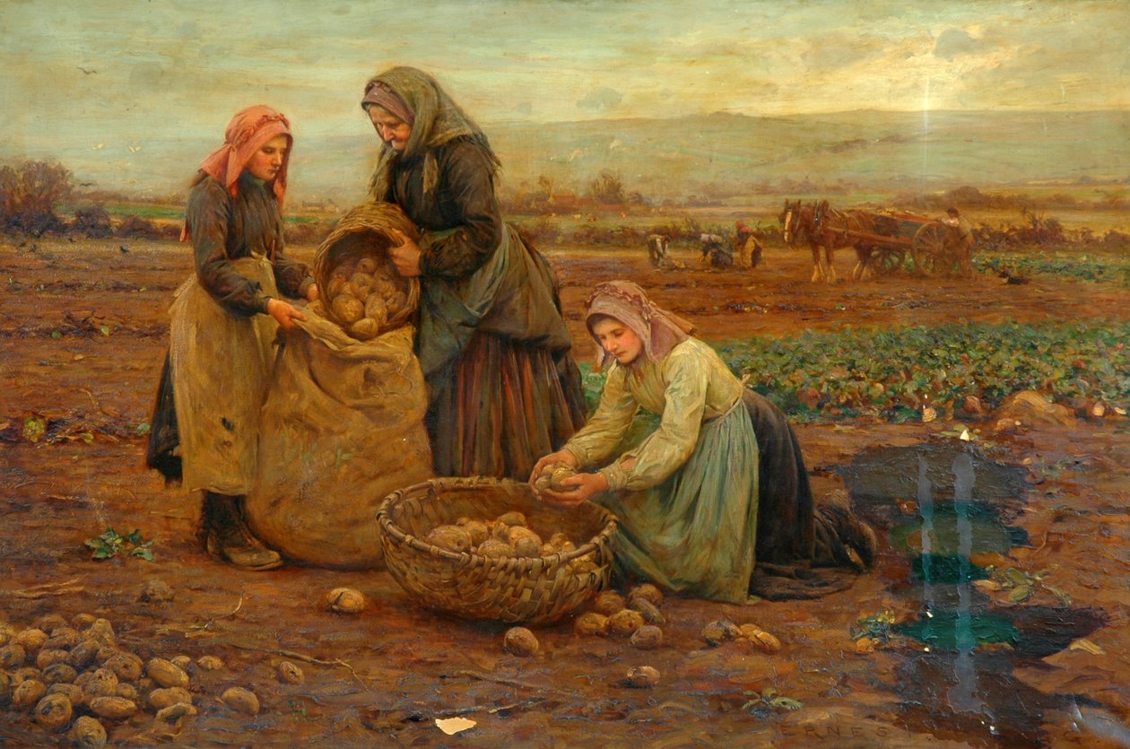 Patates toplayıcıları (tuval üzerine yağlı boya) by Ernest Higgins Rigg