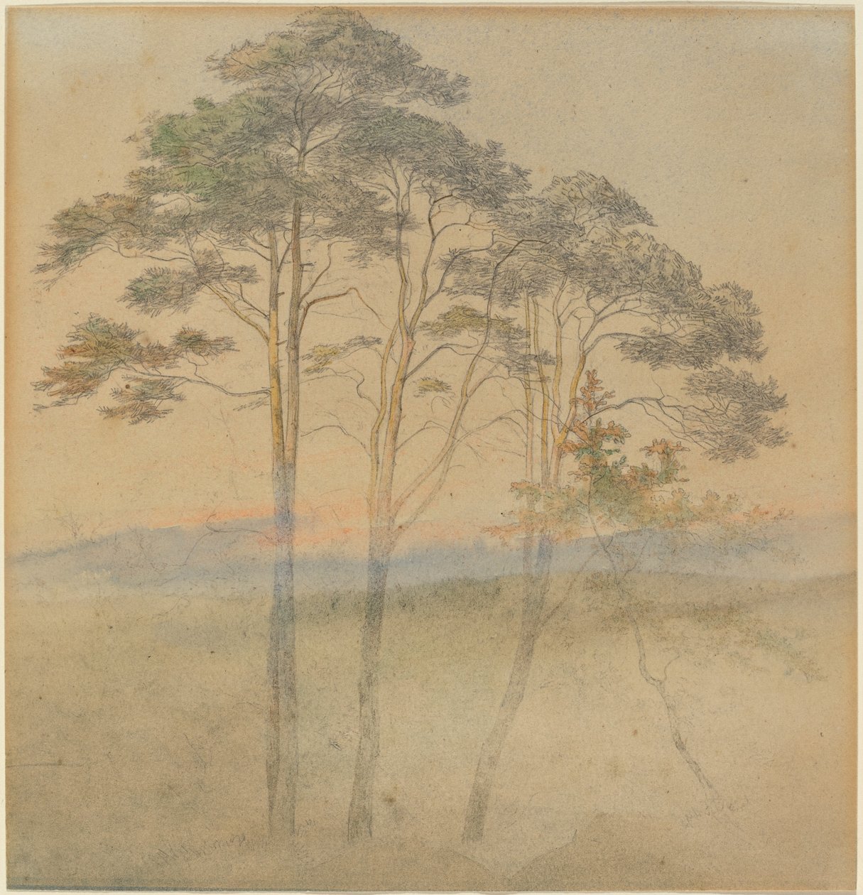 Sabah Sisi İçinde Çamlar by Ernst Ferdinand Oehme