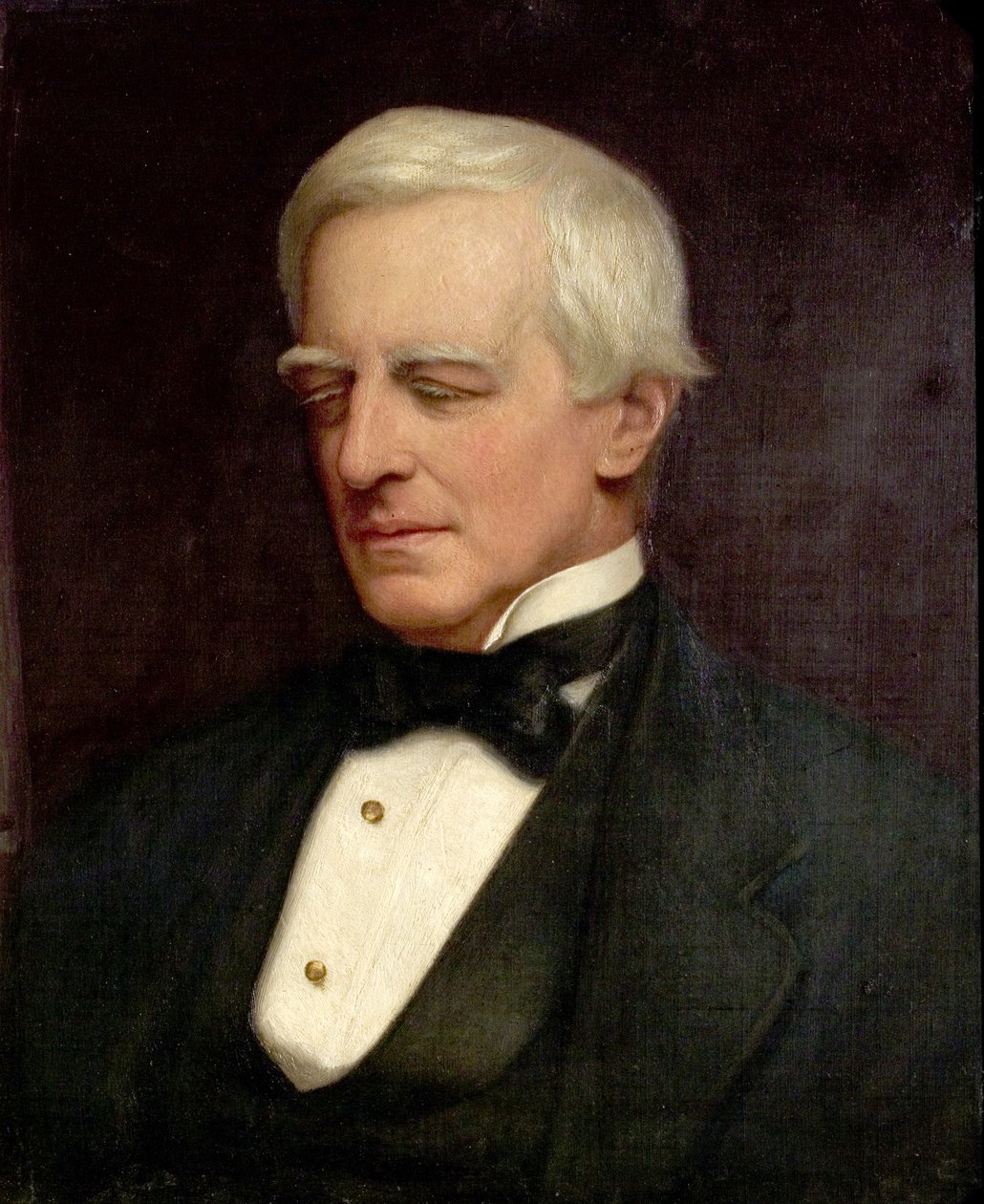 Çok Sayın Robert Lowe by Ethel Mortlock