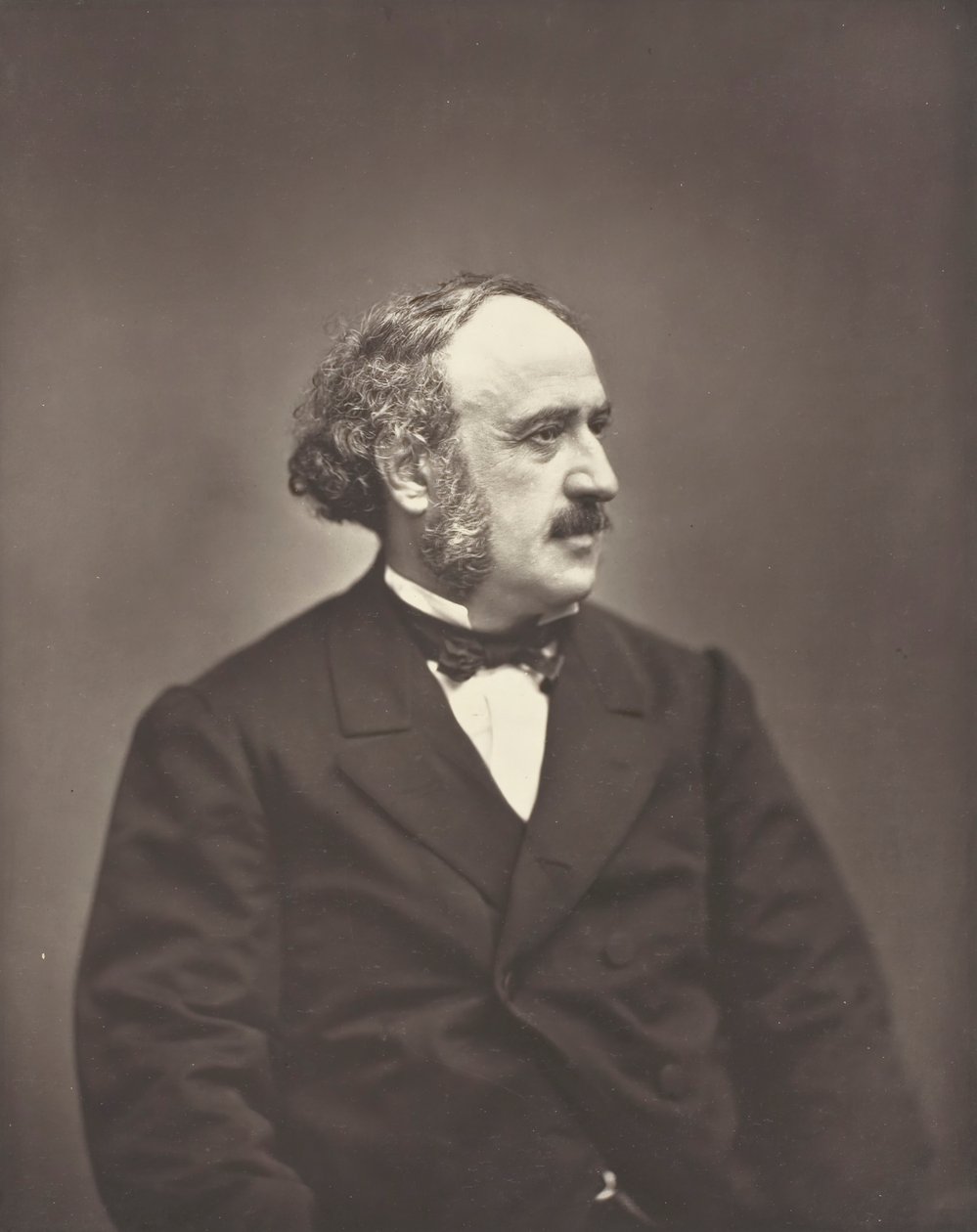 Jules Simon, c. 1876. by Etienne Carjat