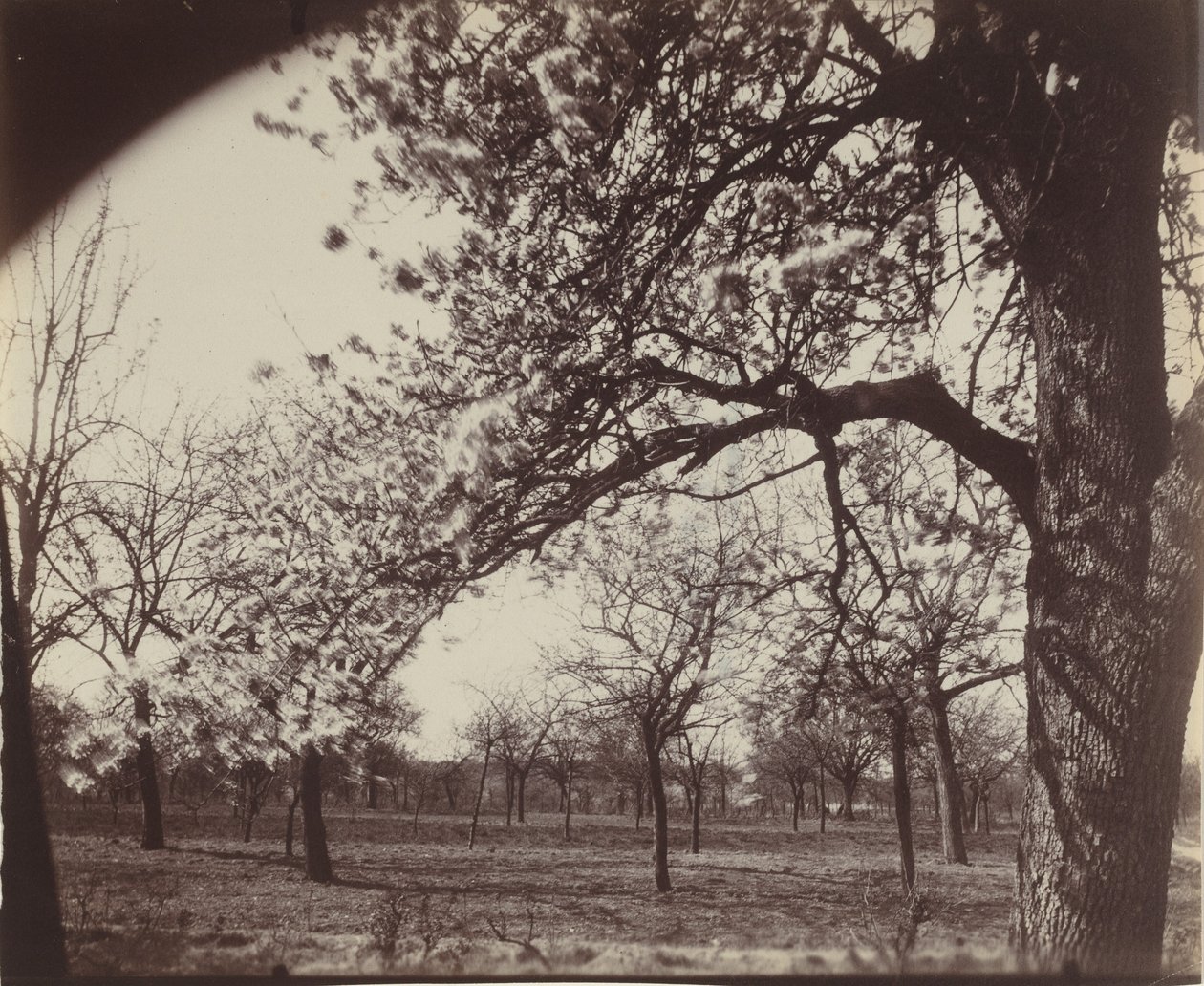  by Eugène Atget