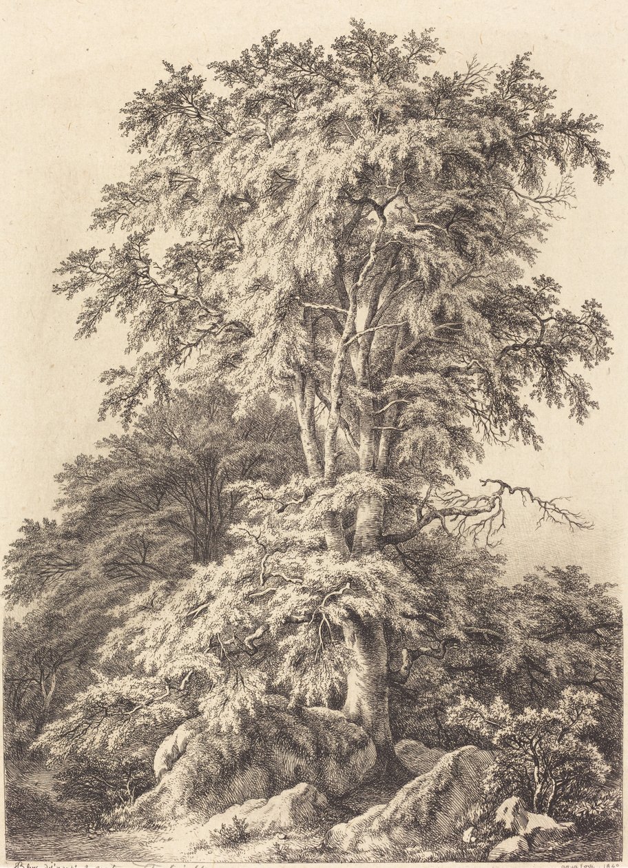 Kayın Korusu by Eugene Bléry