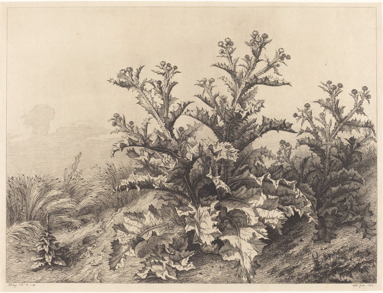 Büyük Devedikeni, 1843. by Eugene Bléry