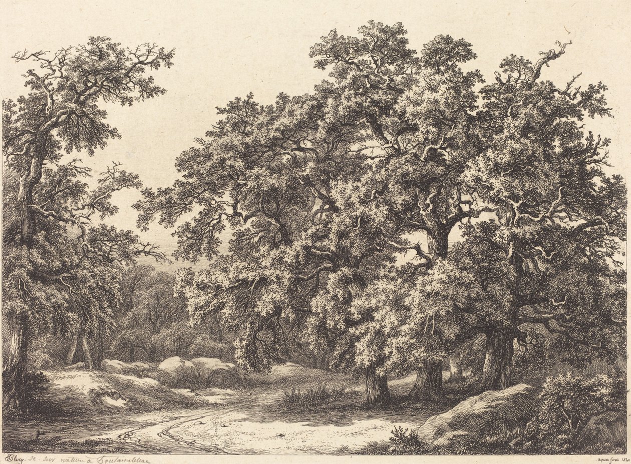meşe by Eugene Bléry