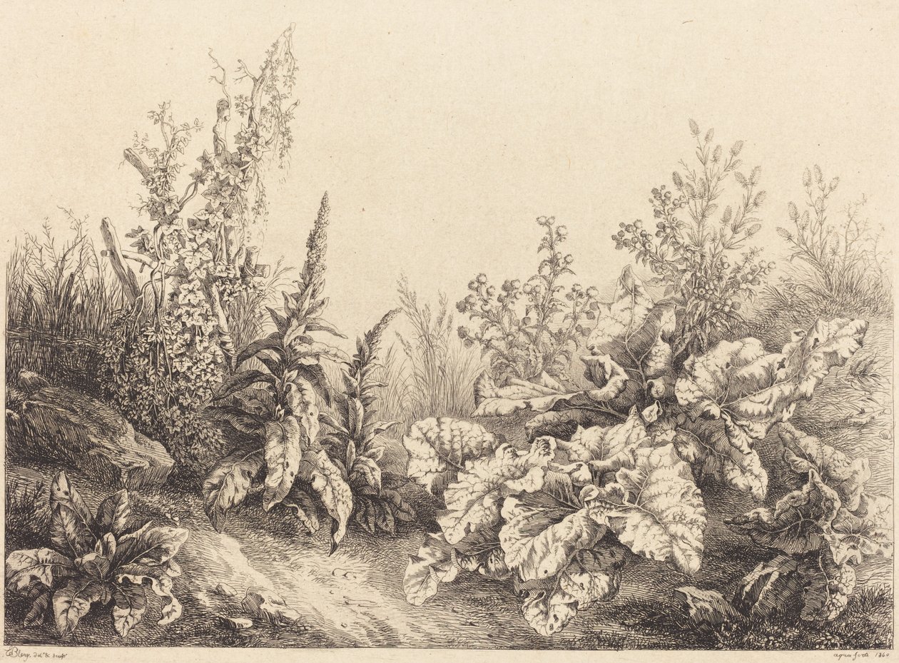 Bir Dulavratotu Çalışması, 1840. by Eugene Bléry