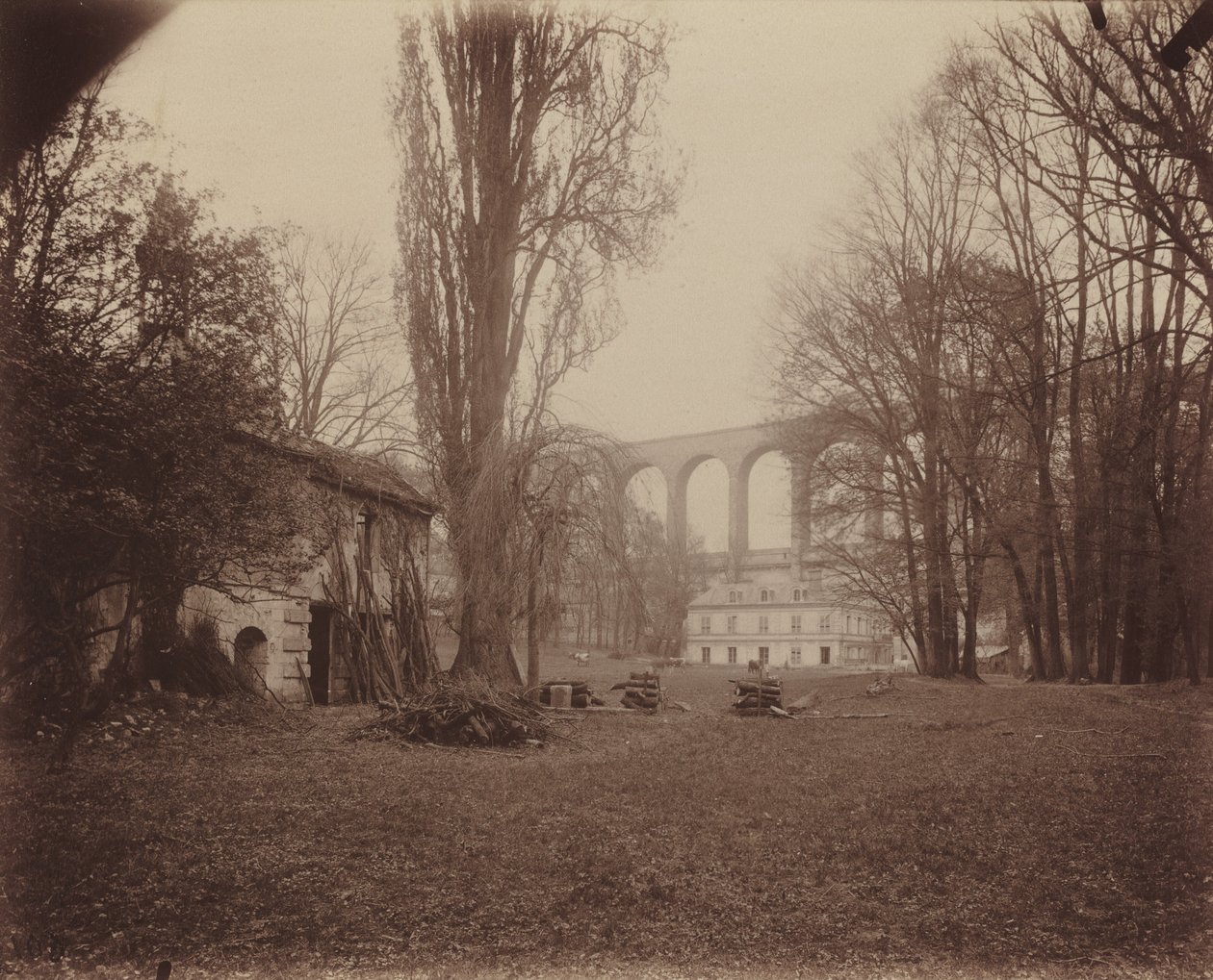 Arcueil-Cachan, Madame de Provigny Parkı by Eugène Atget