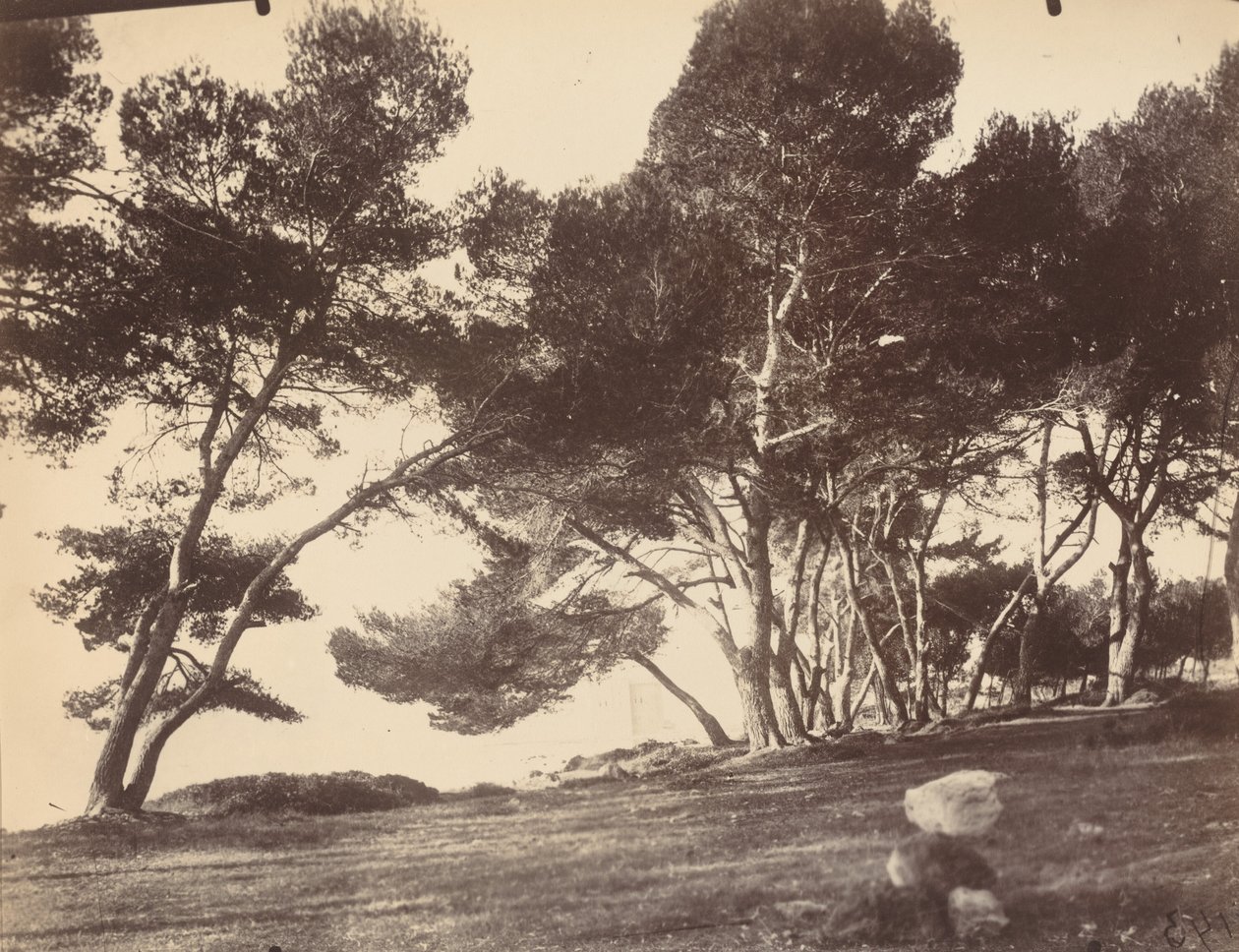 Cannes, Saint Honorat Adası by Eugène Atget