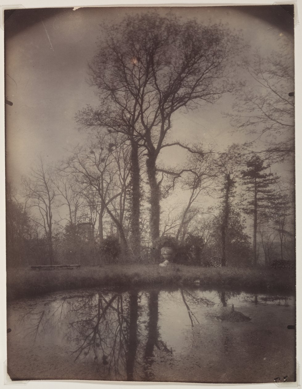 Sceaux'daki Park [Nisan 1925, 07:00] by Eugène Atget