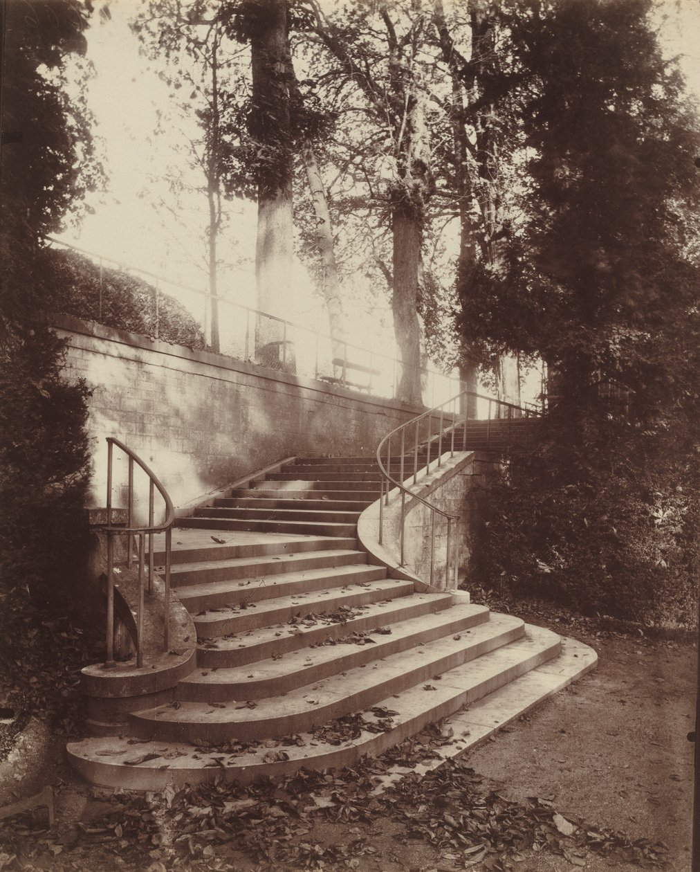 Saint-Cloud