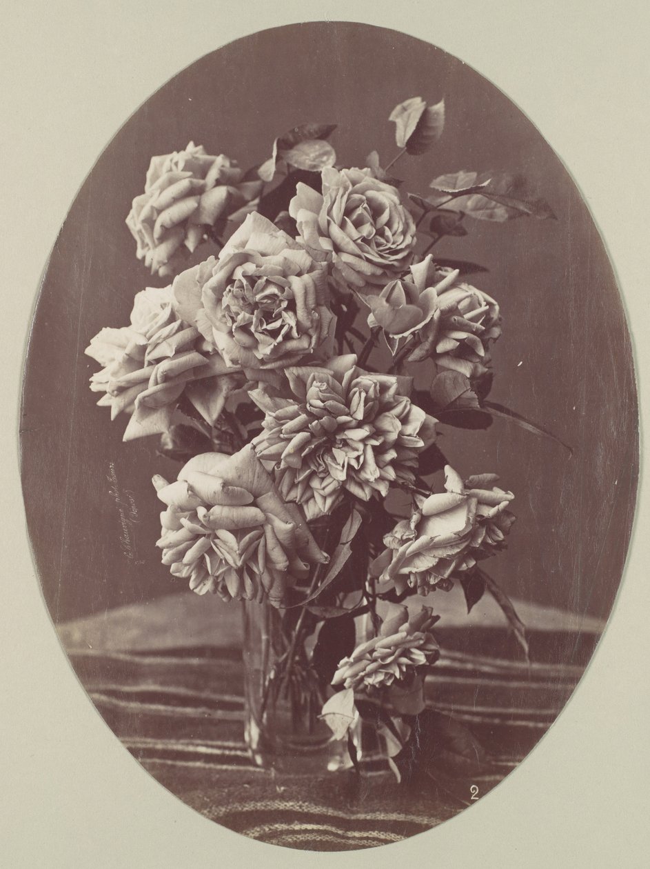 [Güller], ca. 1875. by Eugène Chauvigné