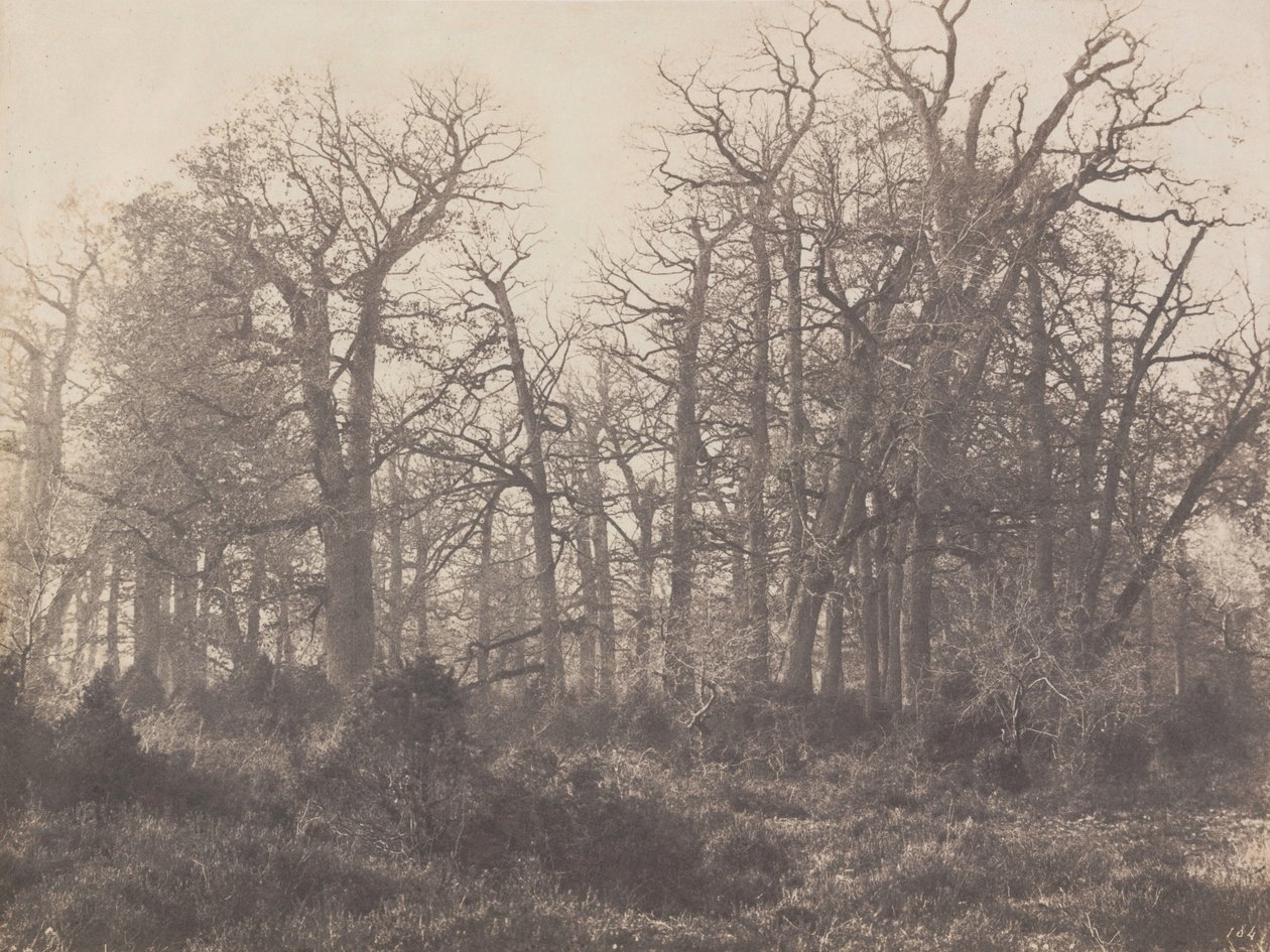  by Eugène Cuvelier
