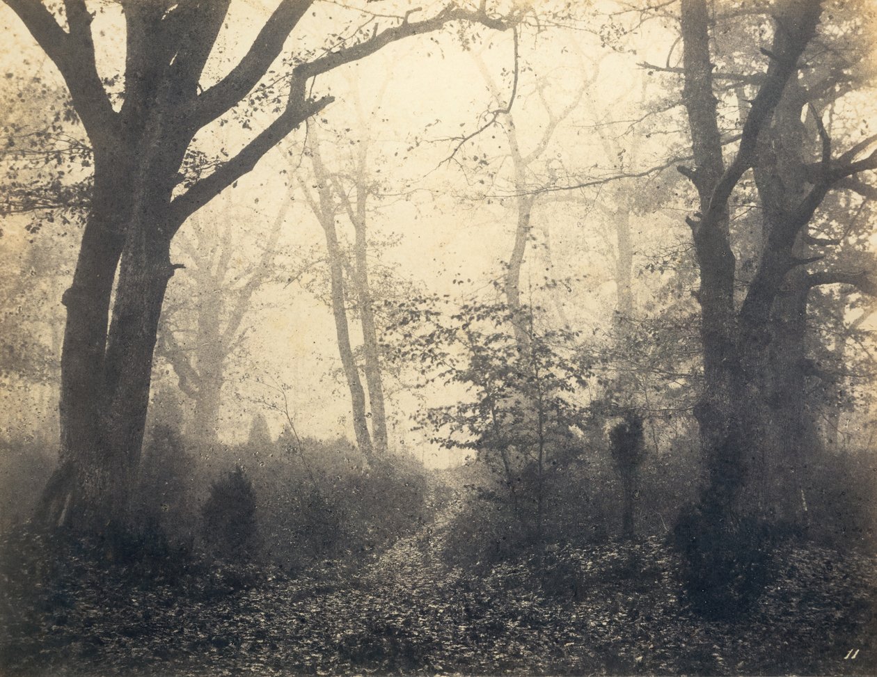 [Fontainebleau Ormanı], 1860