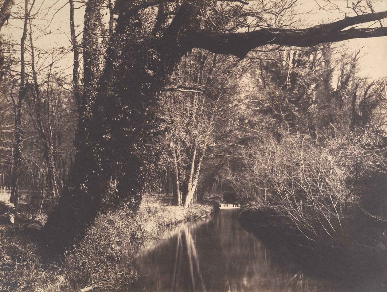Courances Parkı, 1860-70. by Eugène Cuvelier
