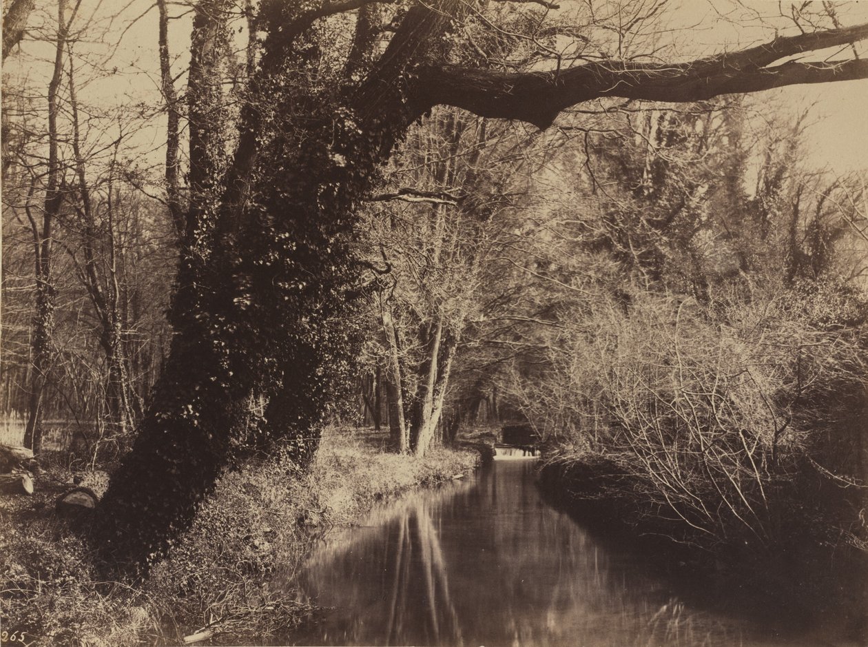 Courances Parkı, 1850