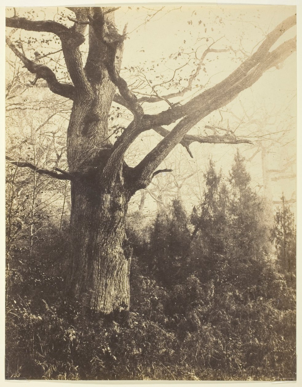başlıksız by Eugène Cuvelier
