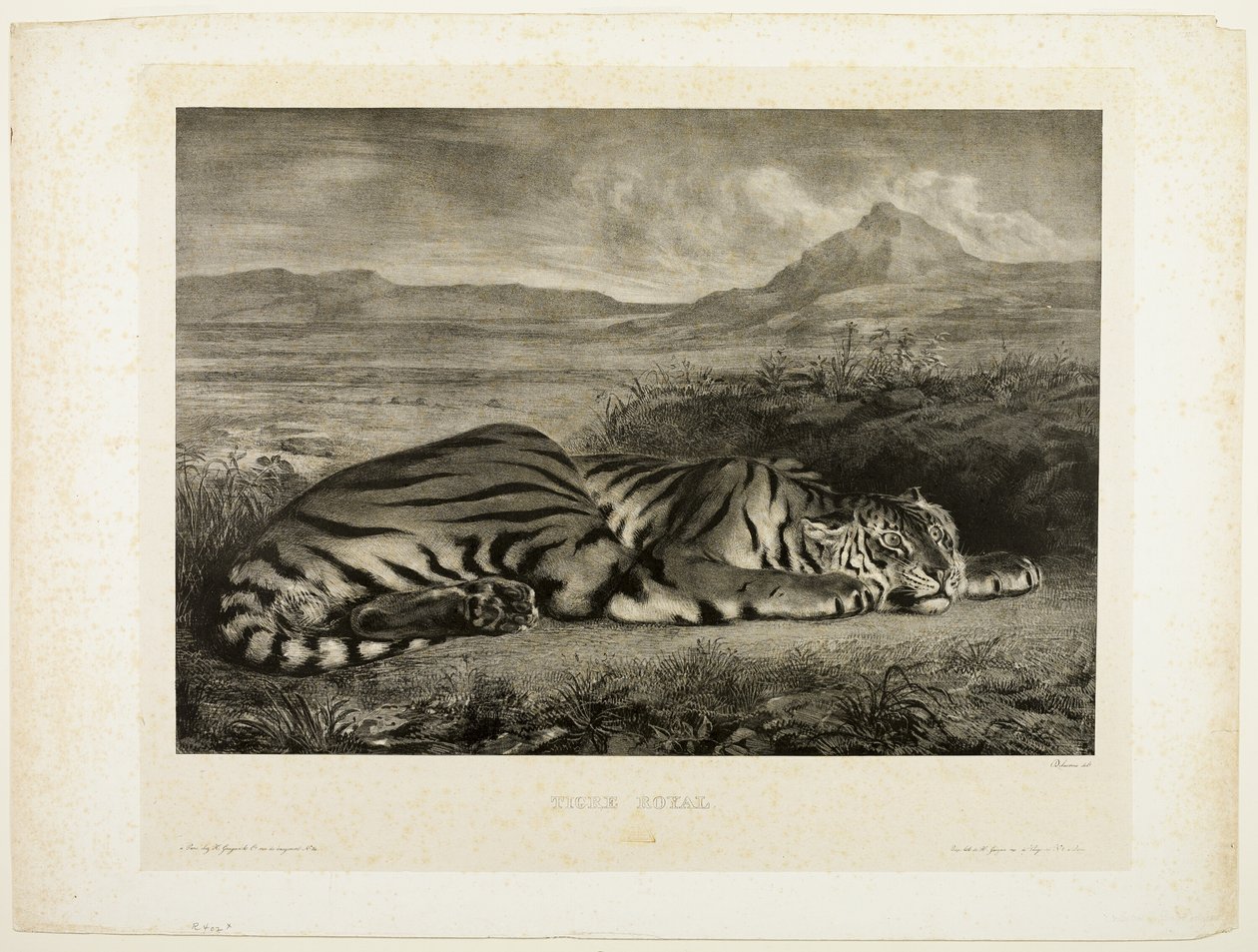 Bengal kaplanı by Eugène Delacroix