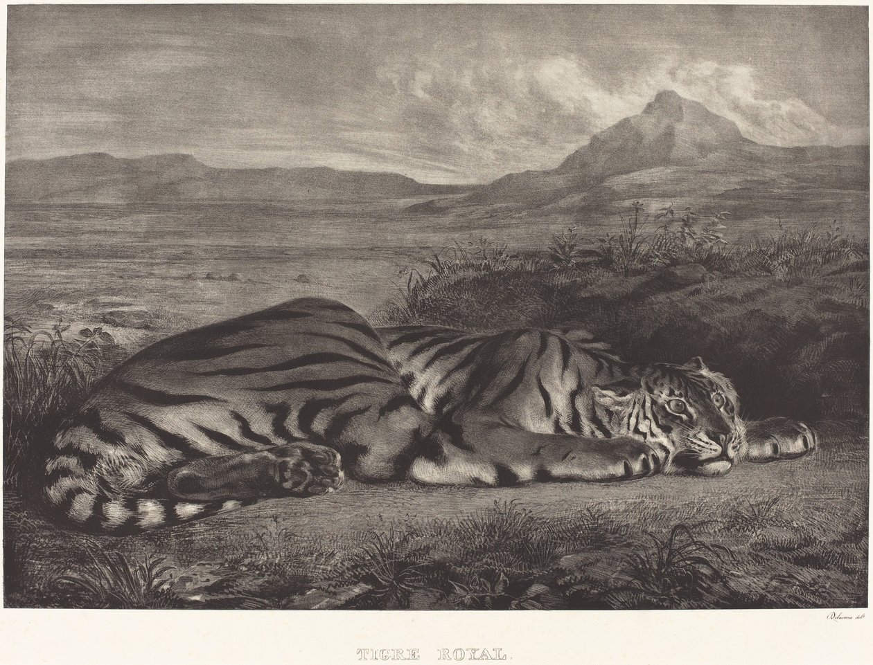 Kraliyet Kaplanı (Tigre Royal) by Eugène Delacroix