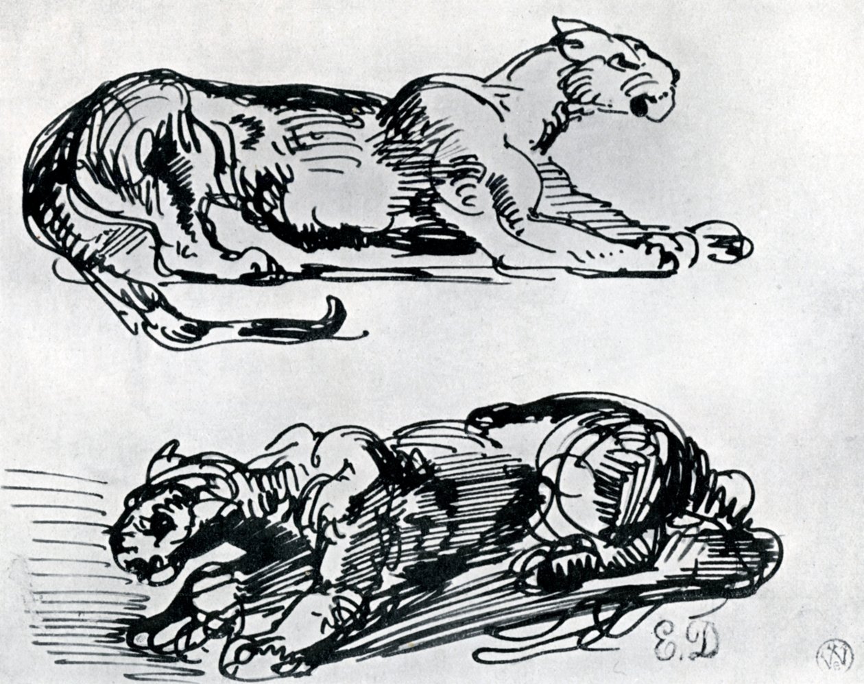 Panter Çalışmaları, 1913 by Ferdinand Victor Eugene Delacroix